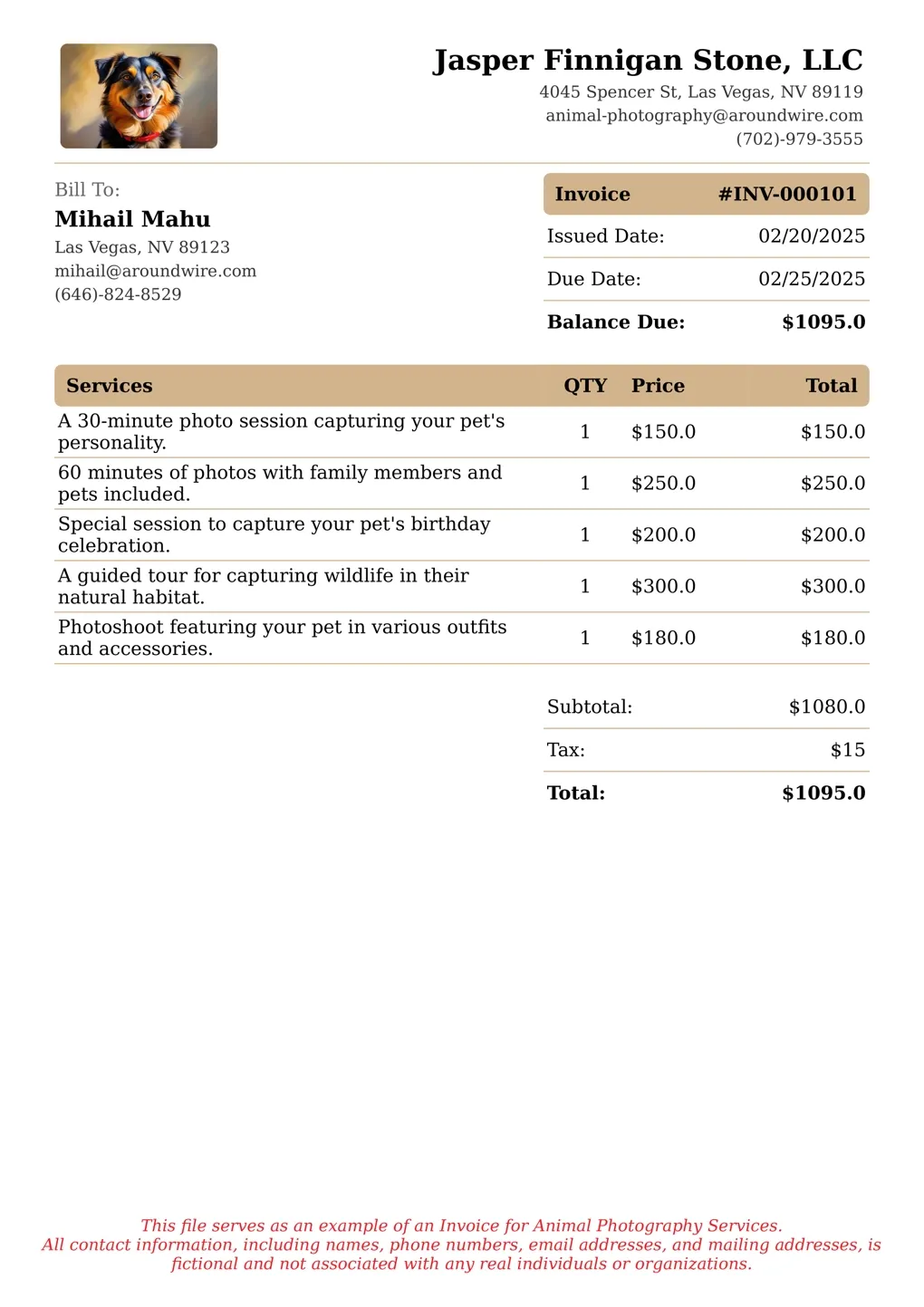 Sample of a Animal Photography services invoice