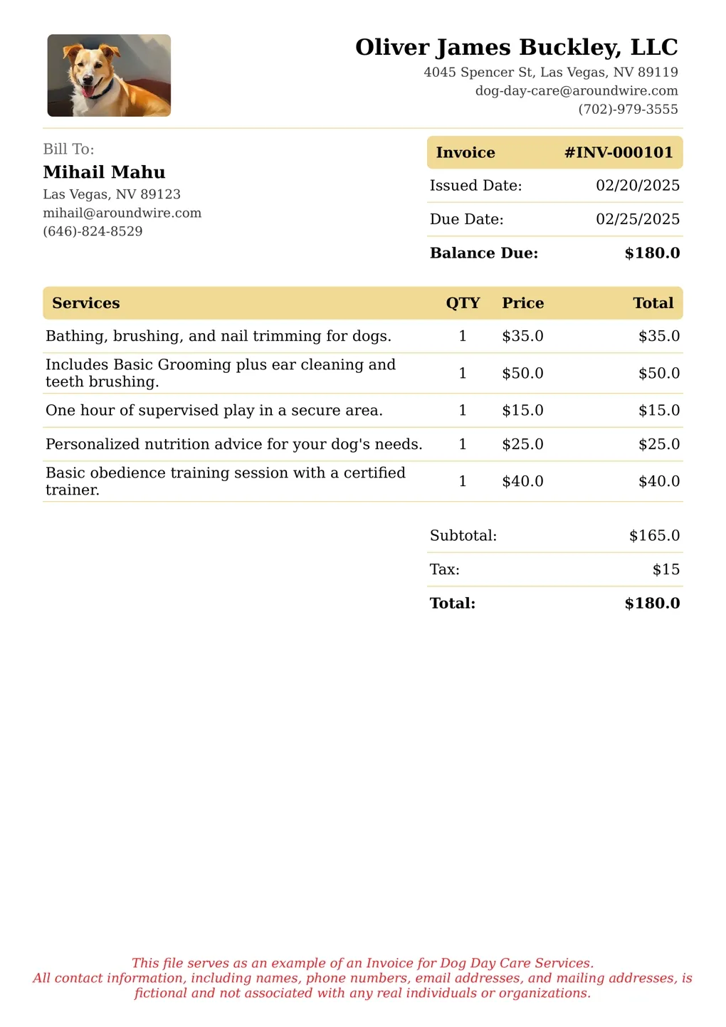 Sample of a Dog Day Care services invoice