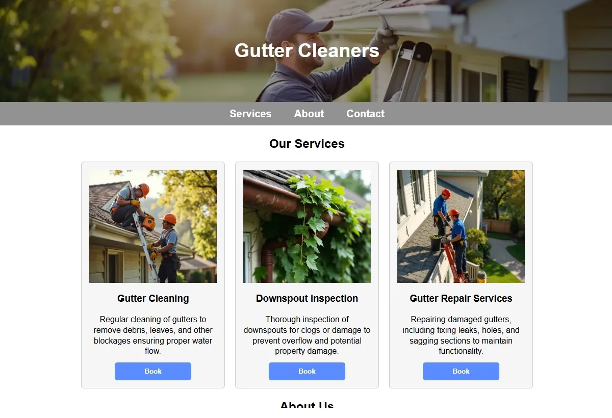 Gutter Cleaners looking at a laptop