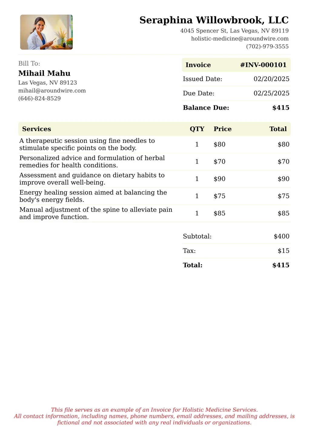 Sample of a Holistic Medicine services invoice