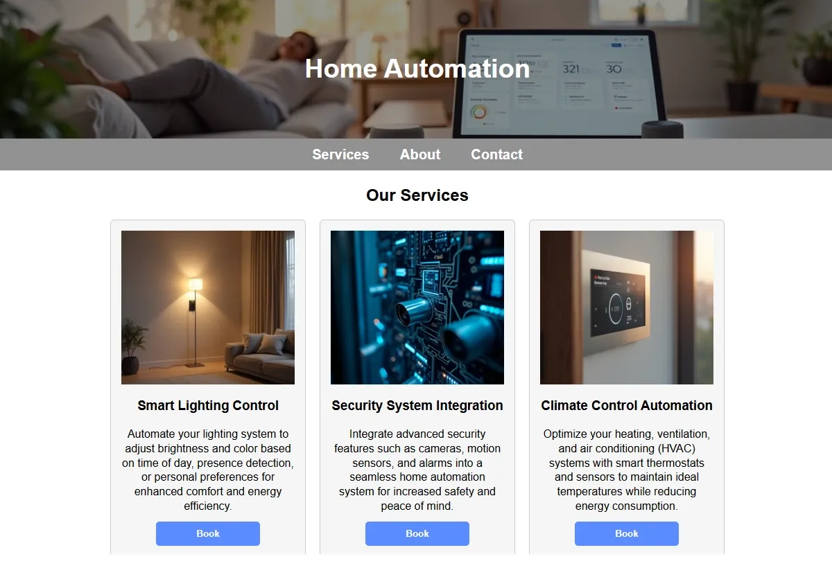 Home Automation looking at a laptop