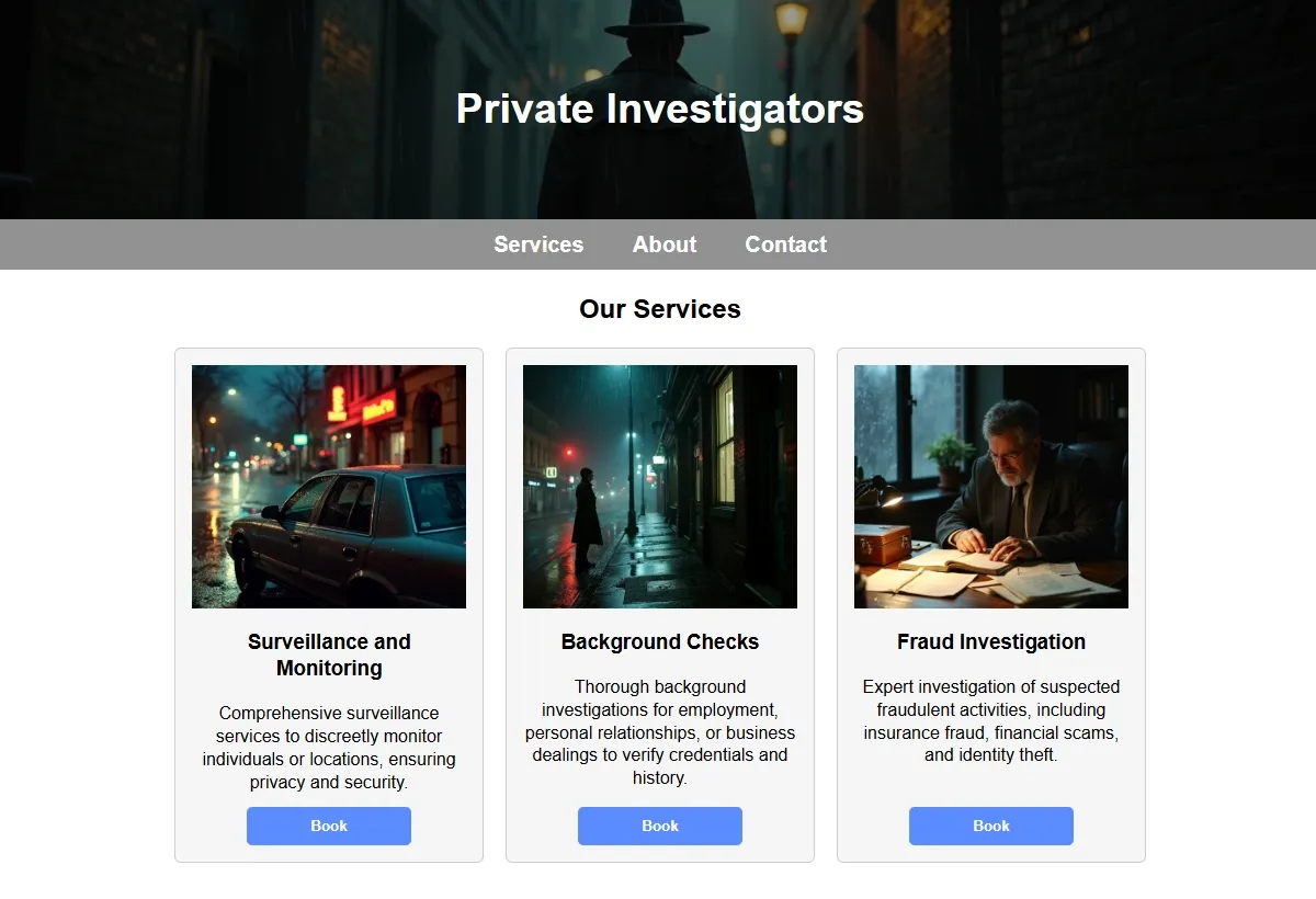 Private Investigators professional working at a laptop