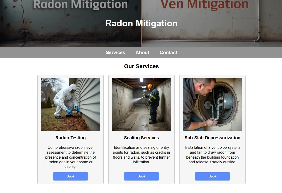 Radon Mitigation professional working at a laptop