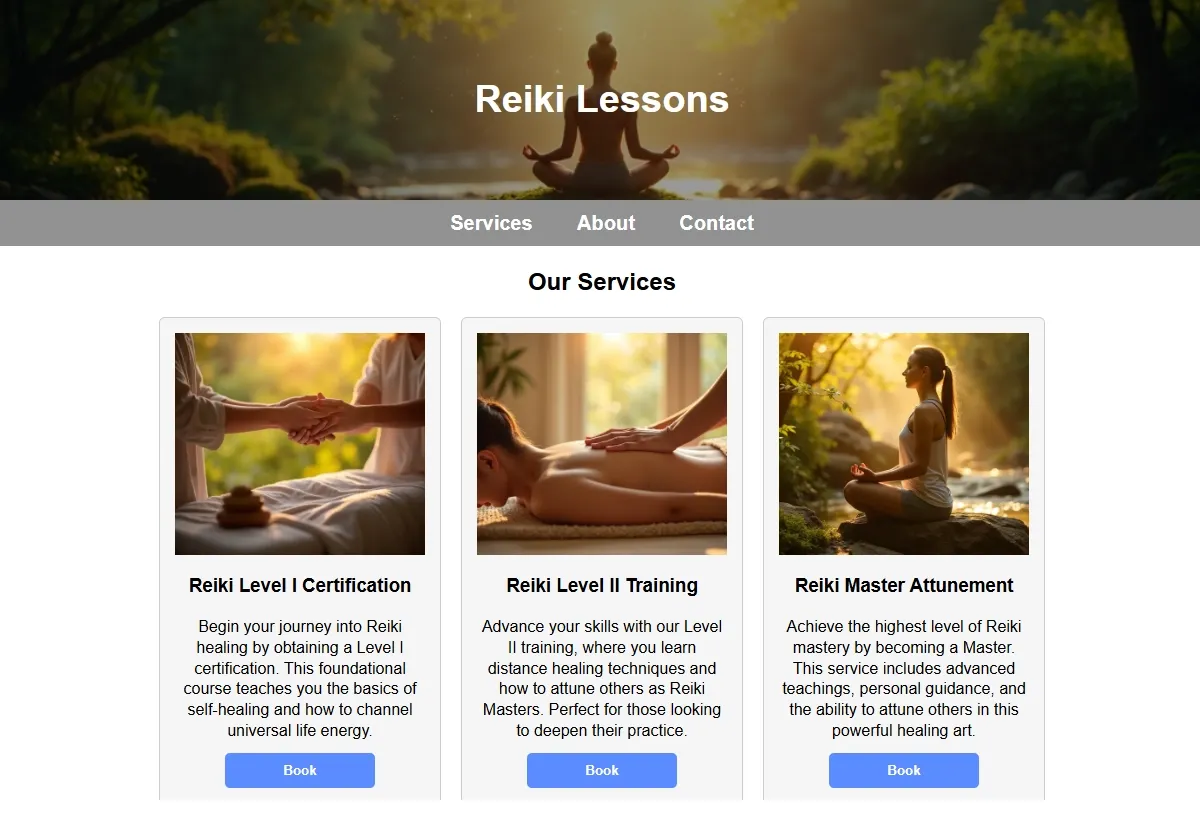 Reiki Lessons professional working at a laptop