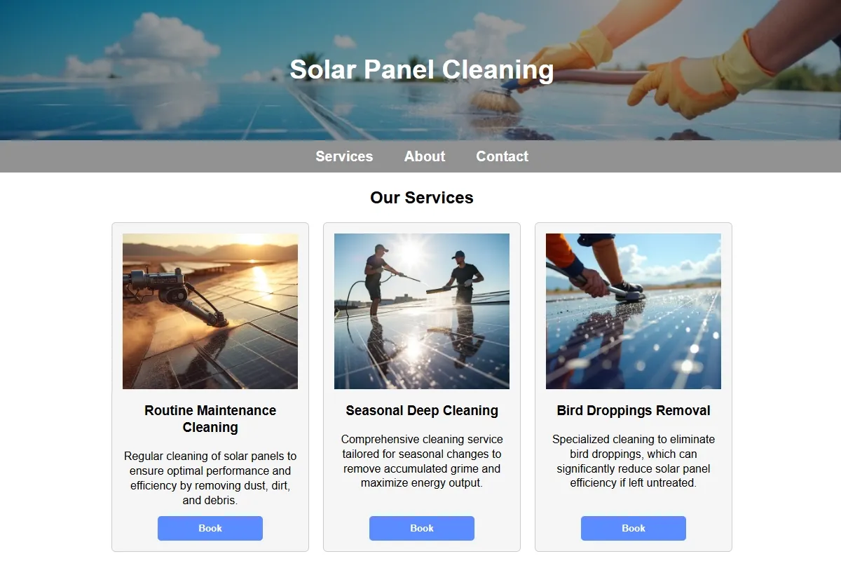 Solar Panel Cleaning professional working at a laptop