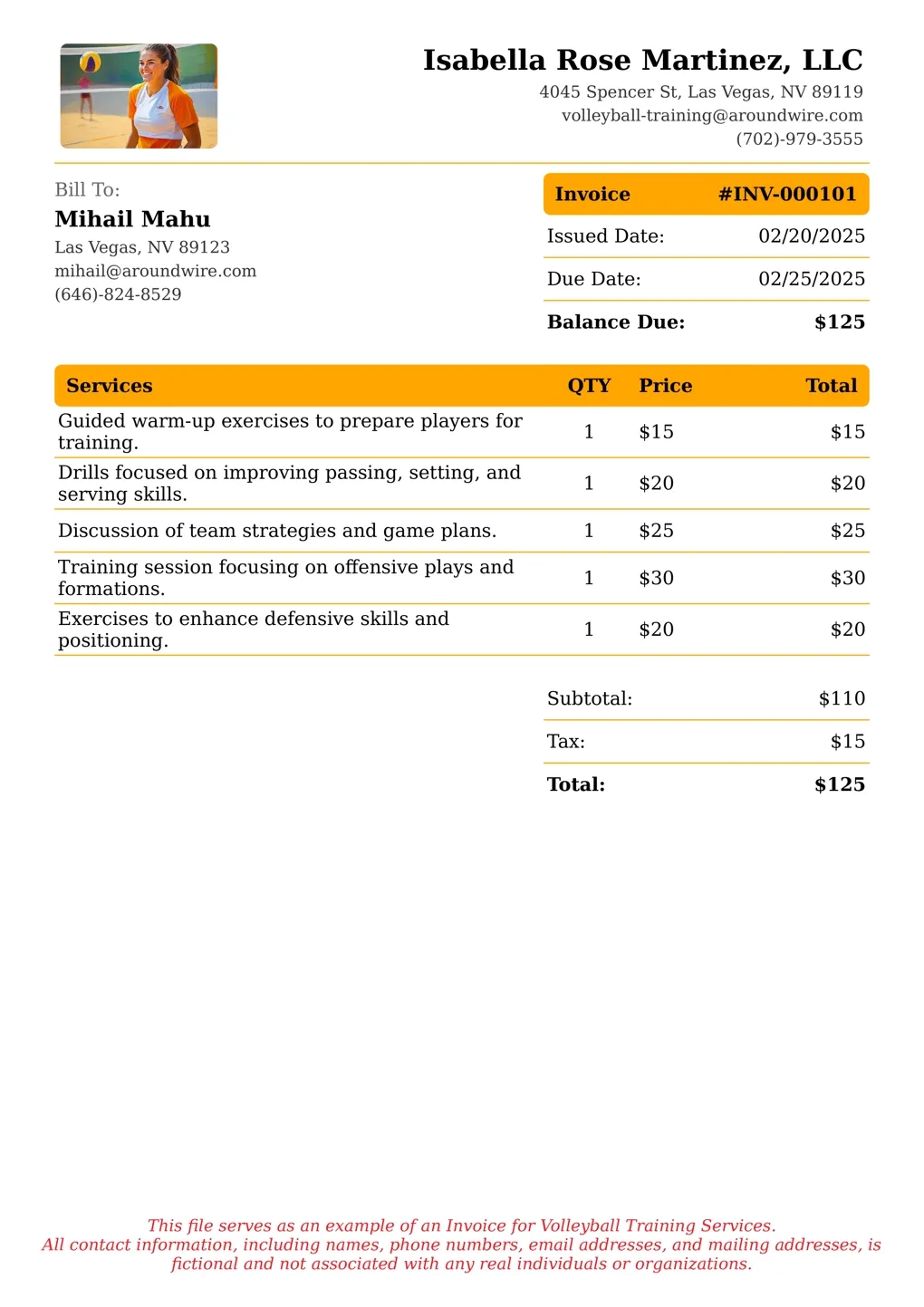 Sample of a Volleyball Training services invoice